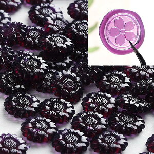 yzneliege V[OX^v V[ObNX   r[Y Ђ܂^ X  FFp[v