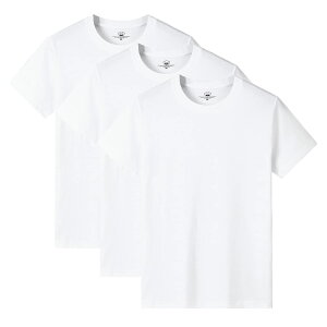 yz[AYISTELU] TVc Y  3g 5g 100% 傫 TCY N[lbN Ci[Vc Y  X|[c Vc  K _炩 JWA Y  t  H ~ 