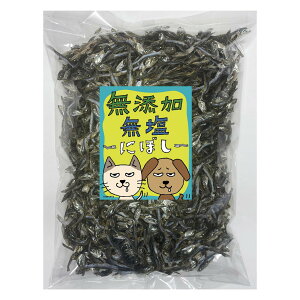 yzY ɂڂ  Y  L  TCYF500g