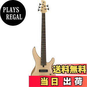 �y���������zYAMAHA TRBX604-605FM �F�F�i�`�������T�e��(NS)