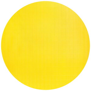 yzemma kites 40D bvXgbv iCn z 150cm x 1M / 2M / 5M JbgTCY  n n UVJbg v19F̃J[oG[V PUR[eBO AEghA