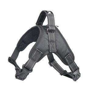 yzpn[lX[_[Zbg   bV \tg Ȃ ʋC ߉\ h~ ^ ^ U/P/o| FFubNATCYFXXLTCY (x 1