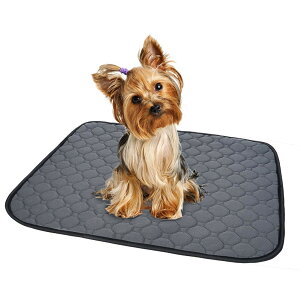 yzybgV[c 􂦂 L p pbh ybgp gC~}bg  􂦂 唻TCY ɍœK FFO[ATCYFMi2Zbgj