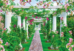 yzG|bN 108s[X WO\[pY COi FFCObV[YK[fATCYF26×38cm