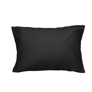 yzJo[ 100 TeD 300{xn h_j R hL zei  炩 _炩 s[P[X Iׂ9F 4TCY FF ubNATCYF35×50cm