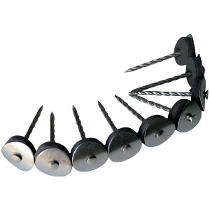 yz_Ch[ng (DAIDOHANT) (PB) XeXAPB [ ؉np ] FFO[ATCYF38mm