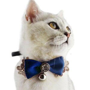 yzlR  Lт  ybg̎ qL̎֗t S PU U[ yq  blR  b qLցbLpցbpցz FFM u[ATCYFSTC