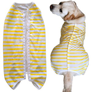 yzKUVEELA PET ^ ^  p㕞 pEFA pJo[ pi ی앞 Y p D  ی 畆a ʋC FFFATCYFXLTCY (x 1)