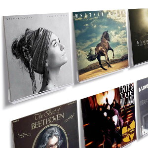 yzNIUBEE AN R[hbN Ǌ| LP AoJo[X^h Wp 30cm 1W\ ȒPt FF