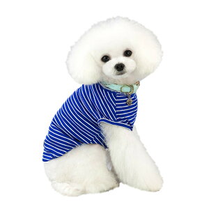 yzKingsie  TVc ėp ̕  XgCv xXg hbOEFA ^ L ybg tďH o U FFu[ATCYFXL 4.5-6kg