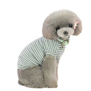 yzKingsie  TVc ėp ̕  XgCv xXg hbOEFA ^ L ybg tďH o U FFO[ATCYFL 3-4.5kg