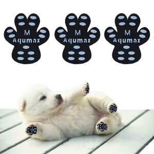 yzAqumax 48 ~ pbh   pbh  ybg CS͂ ~  ی h~ ׂ ~ tbg  p pbh-d؂̏犊藎̂hgNV