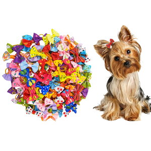 yzp{ wAoh 20_Zbg ybgp Jt  wAS wAANZT[  A\[g FFB