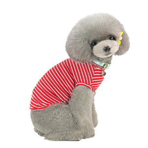 yzKingsie  TVc ėp ̕  XgCv xXg hbOEFA ^ L ybg tďH o U FFbhATCYFXXL 6-9kg