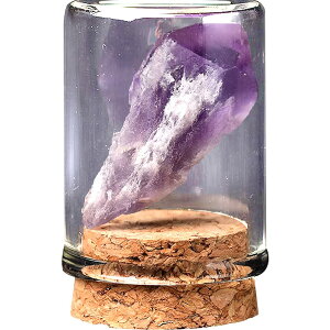 yzHIGHAWK ΕW{ VR KXJo[ z ho u I[ig W W{{bNX e[u RNV nȊw i  2 FFAWXgEobN{[^S