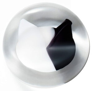 yzAfA(ADERIA) y RRlR KX { coconeco craft ˂^ z Pi  V[Y FF5.u`