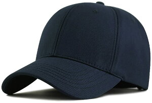 yz[Laquest] iNGXgj 傫TCY [ x[X{[Lbv Rbg100 ő 65cm (lCr[) FFlCr[ATCYFL