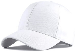 yz[Laquest] iNGXgj 傫TCY [ x[X{[Lbv Rbg100 ő 65cm (zCg) FFzCgATCYFL