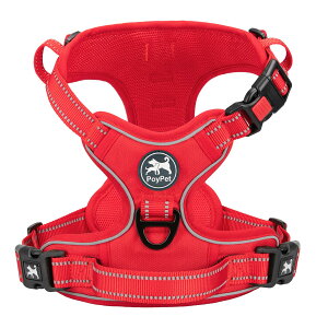 yzPoyPet n[lX 񂪊J܂  ^ \tg S ȒPE P݌y ߉\ ˍ h~ ԍڌ\ ϋv V s⏕ p FF^ԁATCYFL