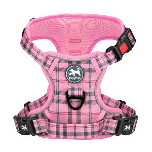 yzPoyPet n[lX 񂪊J܂  ^ \tg S ȒPE P݌y ߉\ ˍ h~ ԍڌ\ ϋv V s⏕ p FFsNiqATC