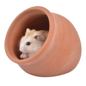 yzHIGHAWKnX^[ nEX  Q  ւ ėp B A  ΍  p xbh P[W TCYFS