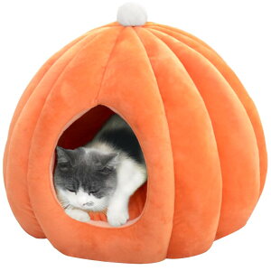 yzBidason L xbh ybg nEX h[^ ӂӂ  J{` _炩 NbVt \tg ~ 􂦂 Q g h Lbg ^  ybgpi ~ F