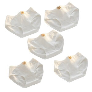 yz[KARZUKI] V[c fB[X 4/5Zbg   pc  w t n K[YV[c JWA fB[XV[c [X ԕ Ci[fB[X  p