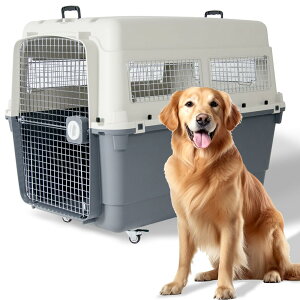 yzv`o ybgL[ ^ ^ ^ FFO[ATCYFDX120 3XLTCY(^/LX^[t)