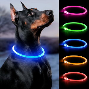 yzBpawser   LED LED USB[d TCY߉\ y Lp Ԍ̎Up ^ ^ ^ FFu[