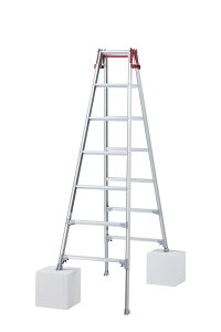 yzJH(Hasegawa) rLk͂pr(^b`o[t) FFbhATCYF7i