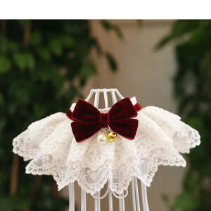 yzTARATI ybgo_i L 킢 a{ M hJ[XLp։ yʃlRpтXJ[t ybgւ̃MtgՂa L ꒅ 