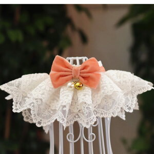 yzTARATI ybgo_i L 킢 a{ M hJ[XLp։ yʃlRpтXJ[t ybgւ̃MtgՂa L ꒅ 