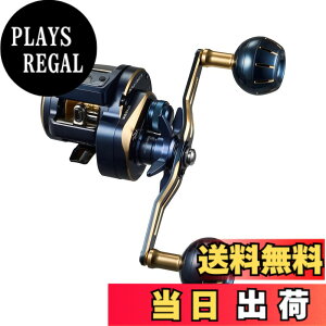 �y���������z�_�C��(DAIWA) �J�E���^�[�t���I�t�V���A�x�C�g���[�� SALTIGA(�\���e�B�K)IC 100~300�� �V���O���n���h��/�_�u���n���h�� �e��(2021-2023���f��) �F�F�s���A�T�C�Y�F300L-DH