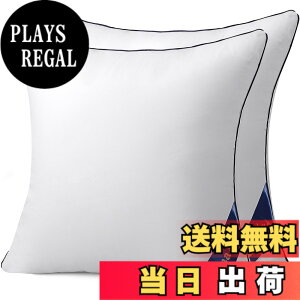 �y���������zBelinna �N�b�V���� �֎q�N�b�V���� �w������N�b�V���� �\�t�@�[�N�b�V���� �F�F�z���C�g�A�T�C�Y�F40cm*40cm�i2�j