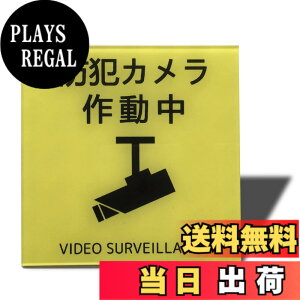 �y���������zSeagron �T�C���v���[�g ���ʃe�[�v�t�� 2mm�A�N������ ������� �F�F�h�ƃJ�����쓮���i�C���X�g�^�j�[�C�G���[�A�T�C�Y�F100x100mm�i�X�e�b�J�[�j