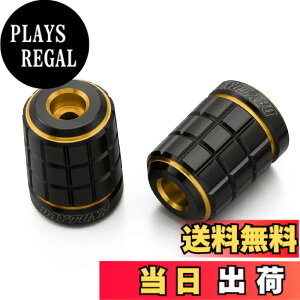 �y���������z�f�C�g�i(Daytona) PREMIUM ZONE(�v���~�A���]�[��) �o�C�N�p �o�[�G���h TECHNO/BRICK/KIRIKO/�X�N���b�` �F�F�S�[���h�A�T�C�Y�F�z���_(M6)
