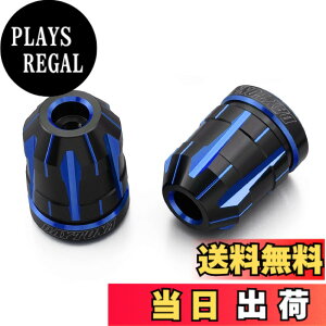 �y���������z�f�C�g�i(Daytona) PREMIUM ZONE(�v���~�A���]�[��) �o�C�N�p �o�[�G���h TECHNO/BRICK/KIRIKO/�X�N���b�` �F�F�u���[�A�T�C�Y�F�J���T�L(M6)