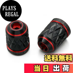 �y���������z�f�C�g�i(Daytona) PREMIUM ZONE(�v���~�A���]�[��) �o�C�N�p �o�[�G���h TECHNO/BRICK/KIRIKO/�X�N���b�` �F�F���b�h�A�T�C�Y�F���}�n(M6)