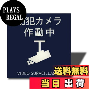 �y���������zSeagron �T�C���v���[�g ���ʃe�[�v�t�� 2mm�A�N������ ������� �F�F�h�ƃJ�����쓮���i�C���X�g�^�j�[�u���[�A�T�C�Y�F100x100mm�i�}�O�l�b�g�j