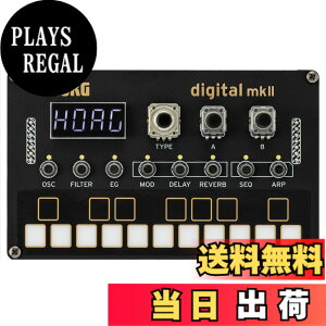 �y���������zKorg Synth Parent 2024 �F�F�u���b�N�A�T�C�Y�FNTS1DIGITAL2