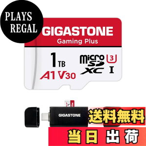 �y���������zGIGASTONE �}�C�N��sd�J�[�h 1TB-2-1 Core Group �F�F1TB Gaming Plus 1��+Type C�J�[�h���[�_�[�A�T�C�Y�F1TB
