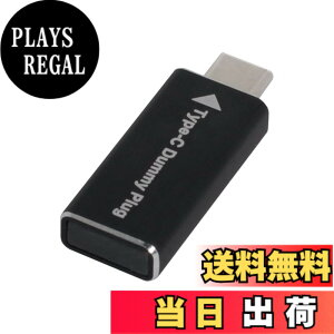 �y���������zNFHK �A�_�v�^�[ ���z�f�B�X�v���C�A�_�v�^�[ 4K VGA DVI �f�B�X�v���C�|�[�g Mini-DP HDMI USB-C 1.4 DDC EDID �_�~�[�v���O �w�b�h���X �S�[�X�g �f�B�X�v���C �G�~�����[�^�[ HDTV 4K@60Hz