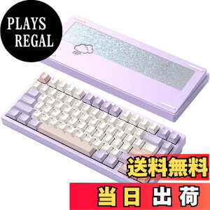 �y���������z�yWOBKEY Rainy75�L�[�{�[�h�z�J���̂悤�ȑŌ��� ���J�j�J���L�[�{�[�h 3WAY�ڑ� OS�݊��� �z�b�g�X���b�v��VIA�̑Ή� �J�X�^�}�C�Y�� �K�X�P�b�g�f�U�C�� �A���~�j�E���f�ގg�p RGB