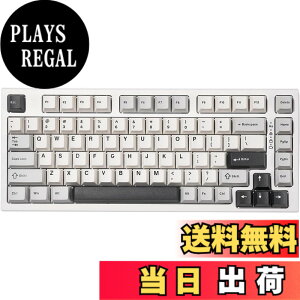 �y���������zYUNZII YZ75 75% �z�b�g�X���b�v�Ή����C�����X�Q�[�~���O�L�[�{�[�h RGB�o�b�N���C�g BT5.0/2.4G/USB-C�ADye Sub PBT�L�[�L���b�v Linux/Win/Mac�p �Z�K�F�؎擾 �F�F�z���C�g�A�T�C�Y�F�K�e��