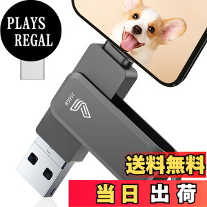�y���������z�y�A�v���s�v�z4in1 Phone�Ή� USB������ �F�F�u���b�N�A�T�C�Y�F256GB