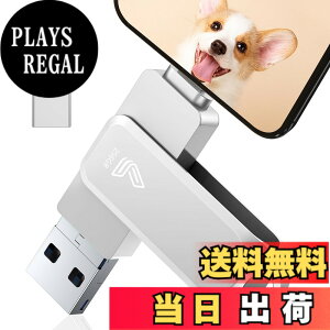 �y���������z�y�A�v���s�v�z4in1 Phone�Ή� USB������ �F�F�V���o�[�A�T�C�Y�F256GB