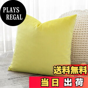 �y���������zOtostar �N�b�V�����J�o�[ 45x45cm 1�� ���n ������� ���� �x���x�b�g ���_�� �W�b�p�[�� �C���e���A ���������p �����p�s���[�J�o�[ �F�F�������C�G���[�A�T�C�Y�F45cmx45cm(1 ���g