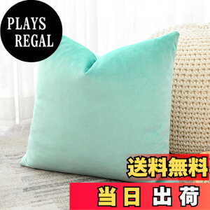 �y���������zOtostar �N�b�V�����J�o�[ 45x45cm 1�� ���n ������� ���� �x���x�b�g ���_�� �W�b�p�[�� �C���e���A ���������p �����p�s���[�J�o�[ �F�F�A�N�A�O���[���A�T�C�Y�F45cmx45cm(1 ���g