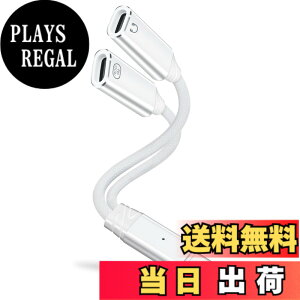 �y���������zleizhan 2-in-1 USB-C �w�b�h�z��/�[�d�A�_�v�^�[�AType-C 1����2�o�� �}���[�d + �I�[�f�B�I �f�[�^�]�� �F�F�z���C�g�A�T�C�Y�F100W 2USB-C