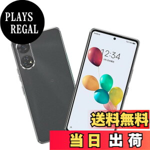 �y���������z2+2�ی�t�B���� �F�F�����A�T�C�Y�FA303ZT �p��